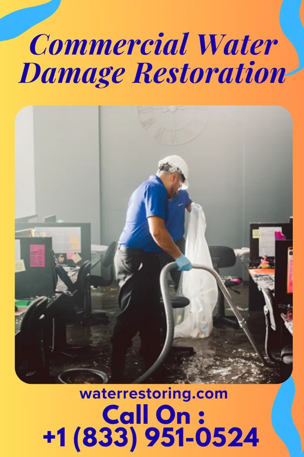 Commercial Water Damage Restoration in Dry Prong, LA