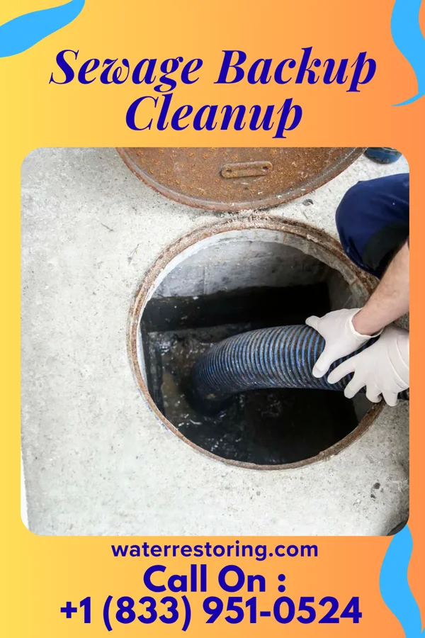 Sewage Backup Cleanup in Dry Prong, LA